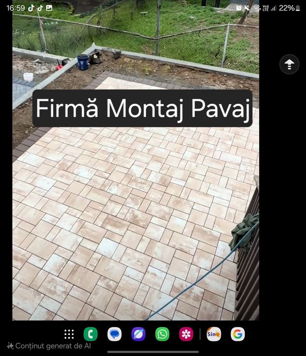 Pavatori Pavele si Dale