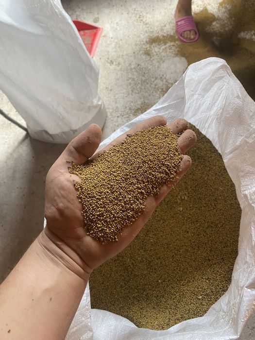 Vand Samanta Lucerna