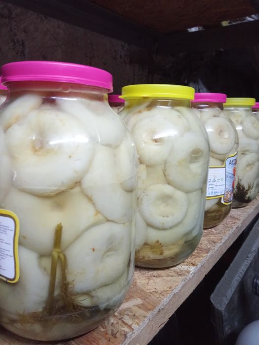 ГРУЗДИ! ГРУЗДИ! ГРУЗДИ! По 2литра цена 10 тысяч.10