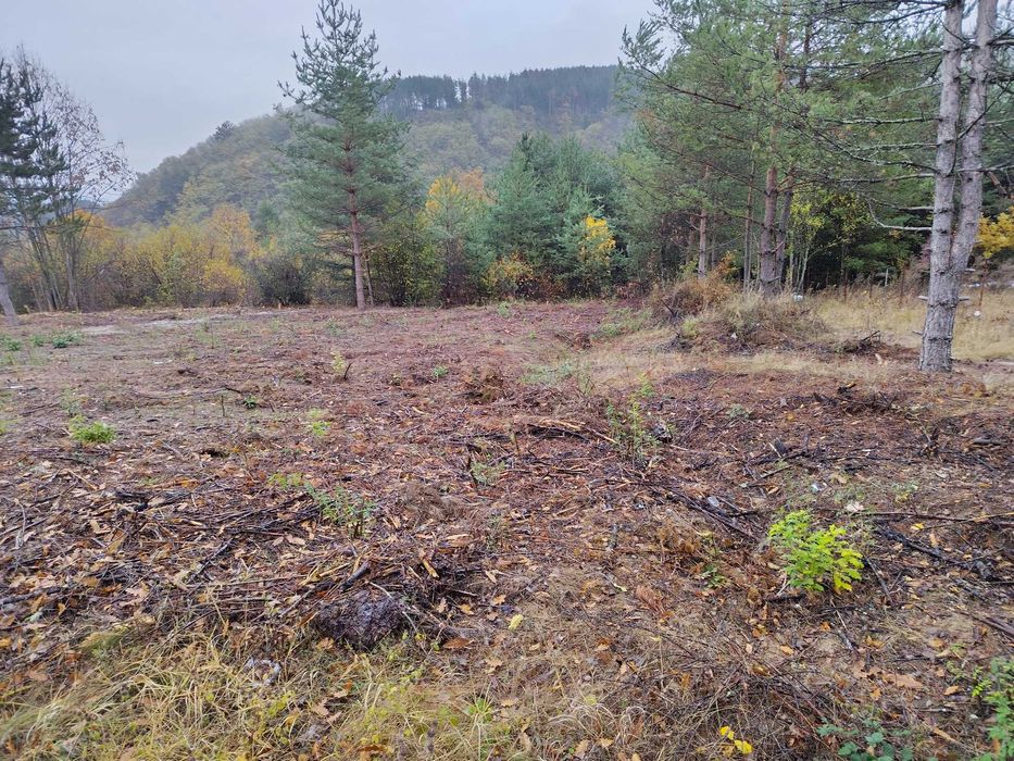 Парцел в регулация, ток и вода