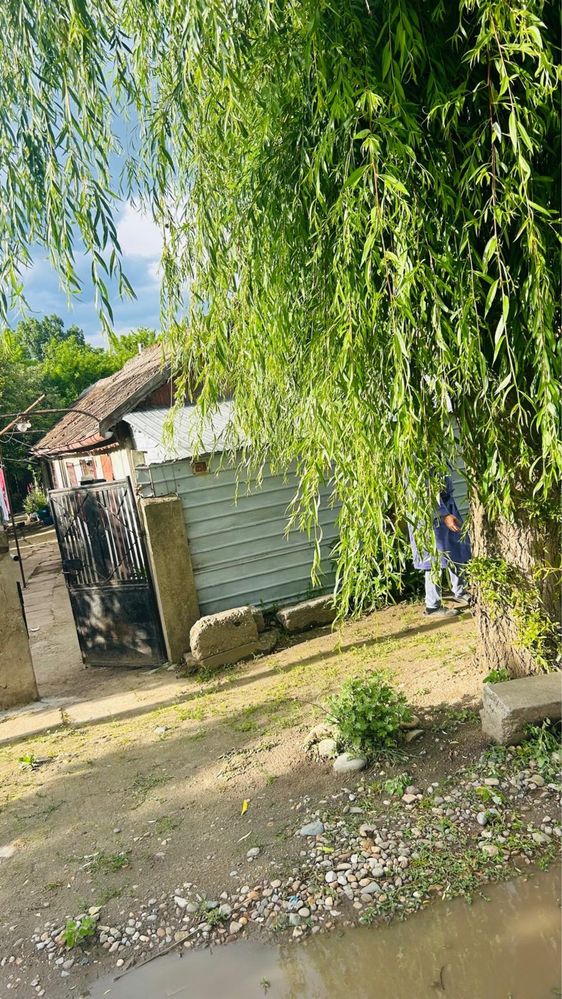 Casa de vanzare. Bailesti Dolj