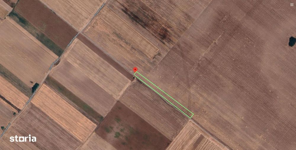 Teren Extravilan In Rate Primaverii Com. Berceni | 2670mp | #EG52