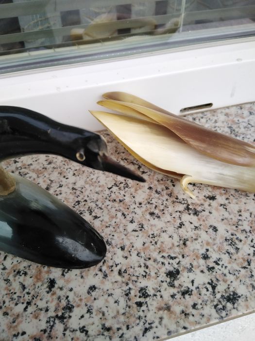 Красиви изделия от кост и кожа от див  заек