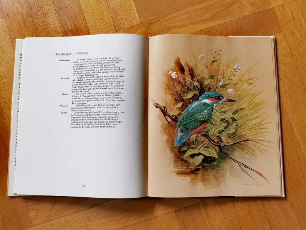 Книга за птиците Нашият красив птичи свят >36 завладяващи картини !