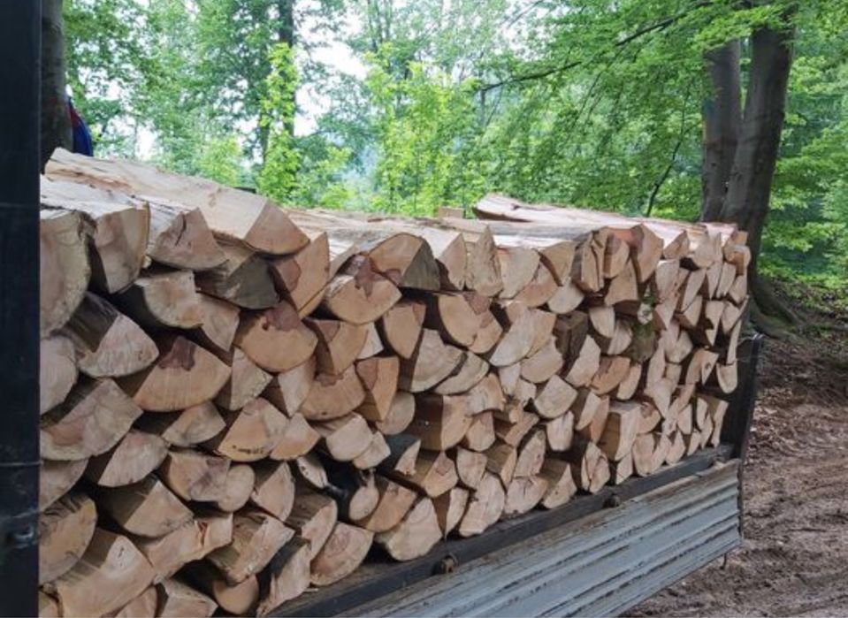 Lemne de foc esență tare (Fag, Carpen, Stejar )