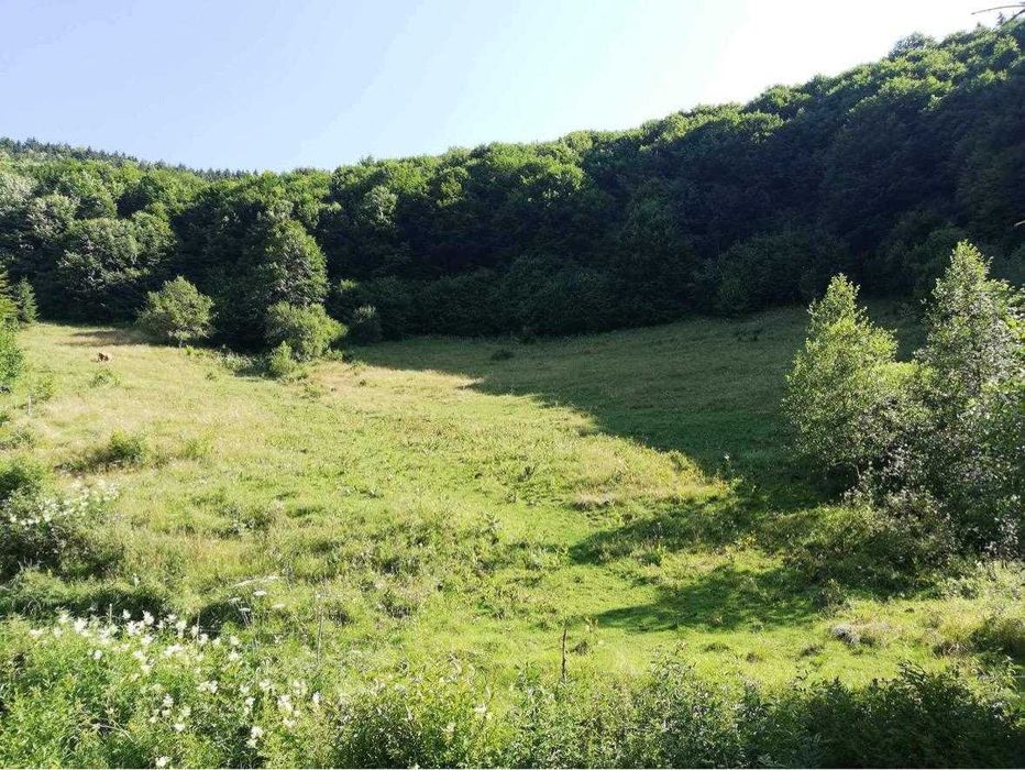 Vand teren intravilan in Rachitele