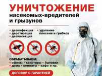 Дезинфекция / комары / мухи / тараканы / грызуны / DIZINFEKSIYA xizmat