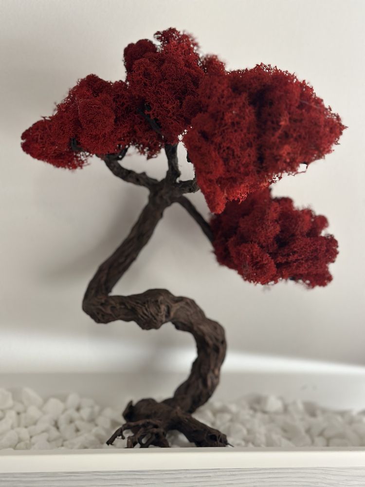 Bonsai artizanal handmade