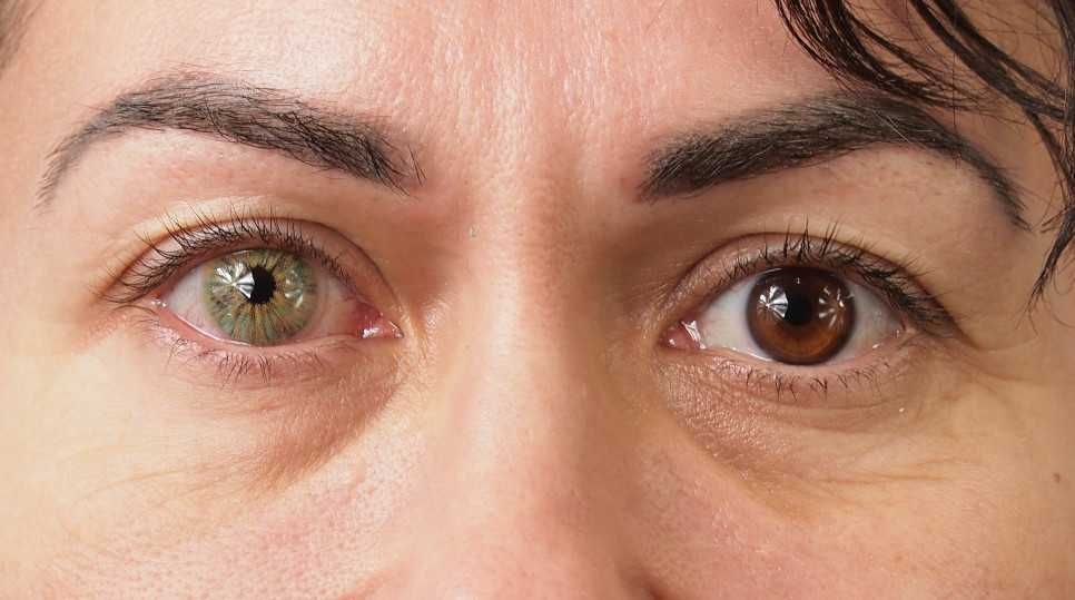 Monet - lentile de contact colorate anuale, pachet complet