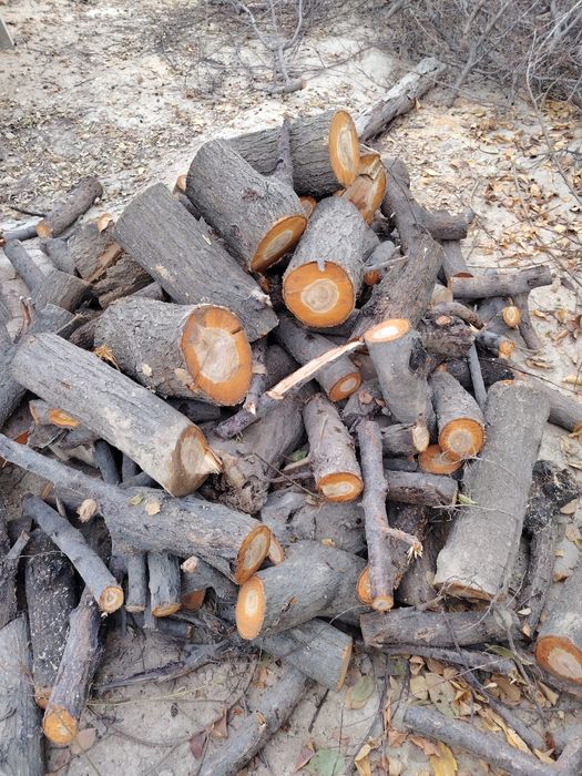 У'тин сотилади курук