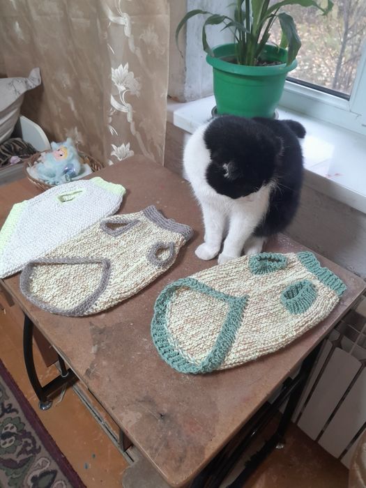 Одежда для собак и кошек