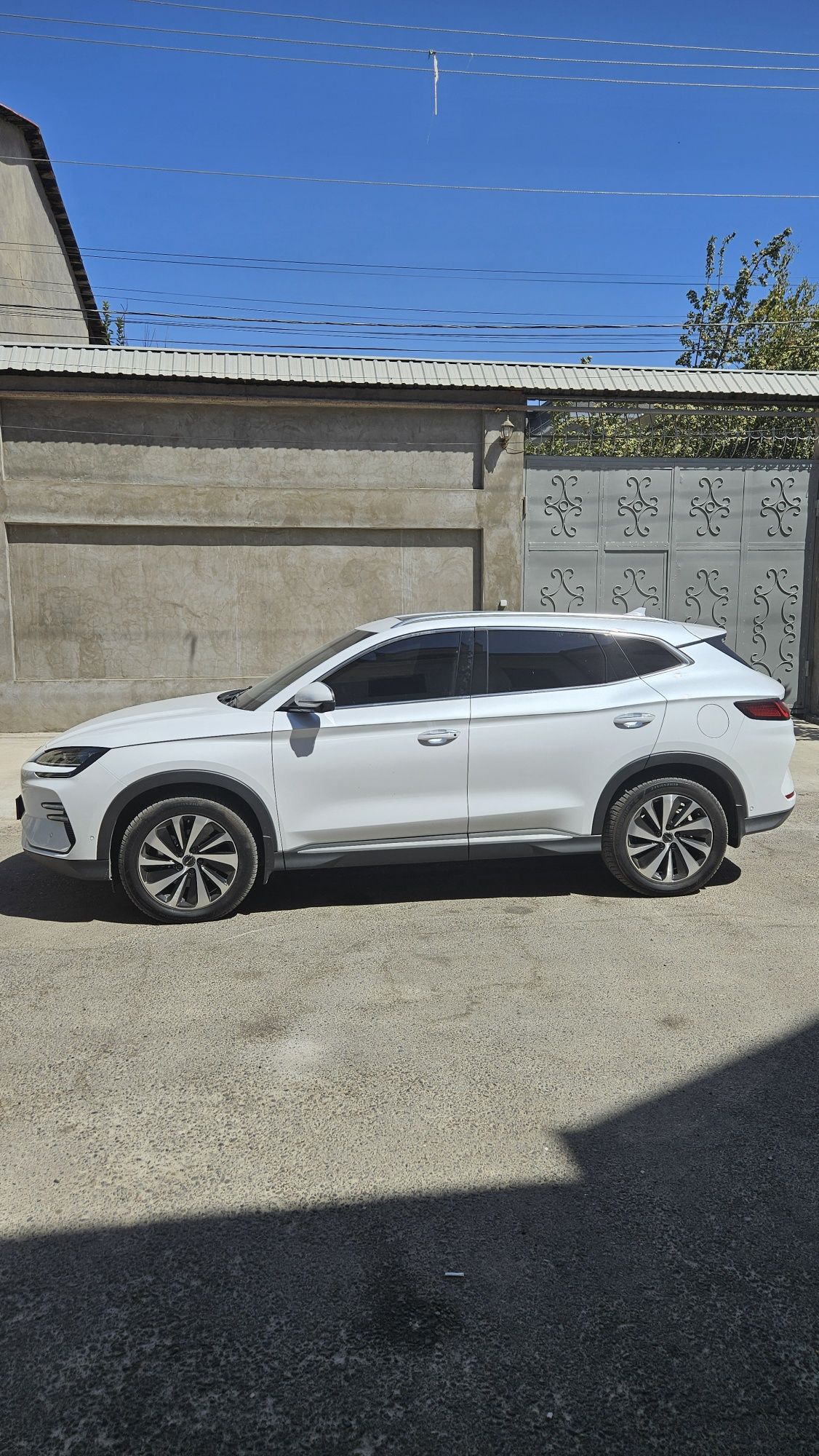 BYD Song Champion Honor edition