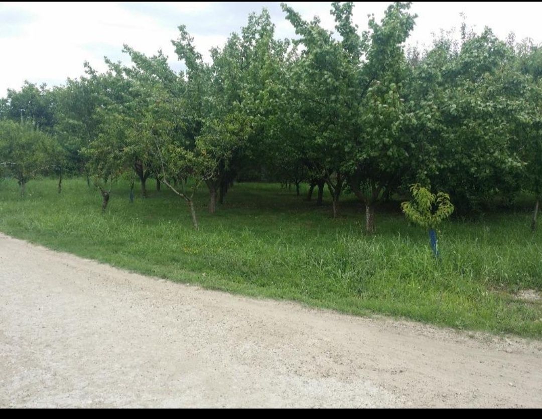 Продава се Промишлена сграда в с. Александрово, Област Ловеч - 17000 кв.м за 6 €/кв.м - Снимка #10
