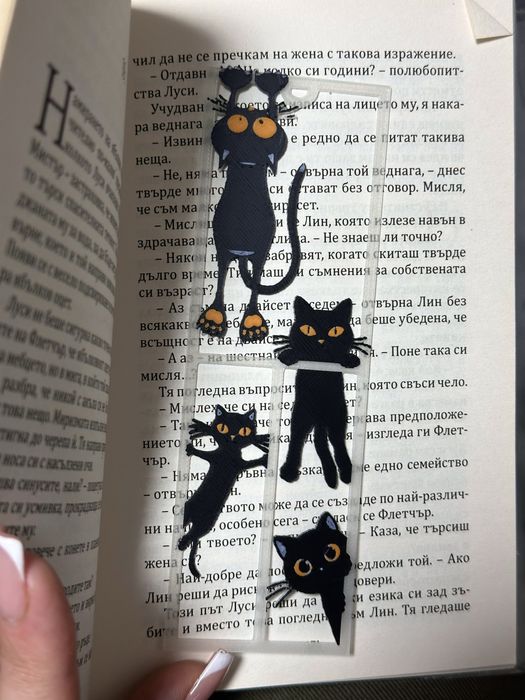 3D книгораделител – игриви черни котета