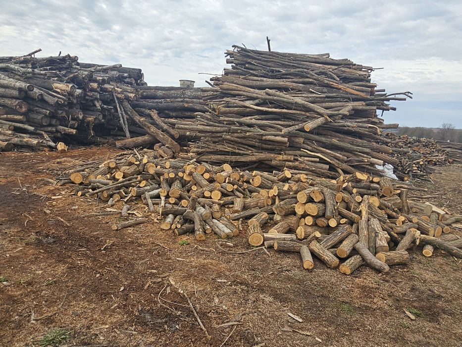 Lemn foc, peleti, brichete, cherestea