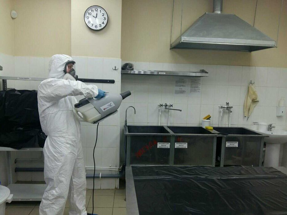 Dezinfeksiya klop klapa tarkan burga chayon ilon Дезинфекция R6