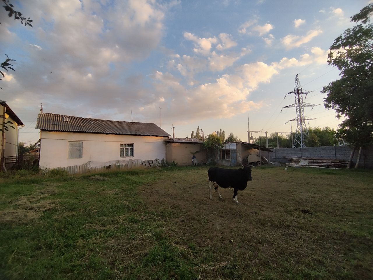 Продам дом 18 суток Янгибазар центр.