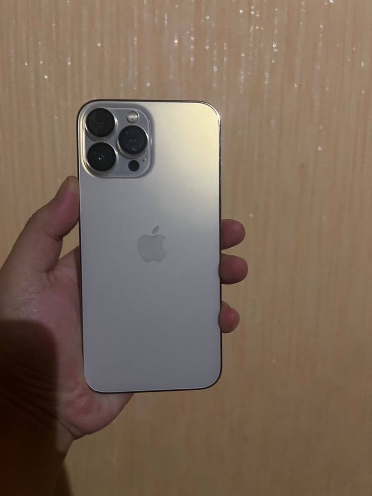 Iphone 13 pro max