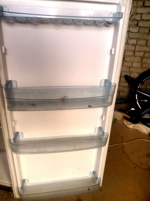 Халаделник брюса