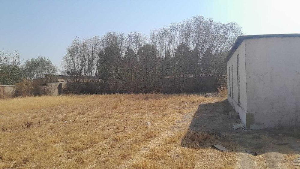 Олтинсой, Ленинградда кадастр хужжатлари тайёр 10 соток ер сотилади