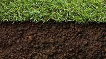 Pamant negru, pamant pentru gradina, pamant vegetal