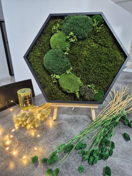 Tablouri hexagonale  muschi si licheni