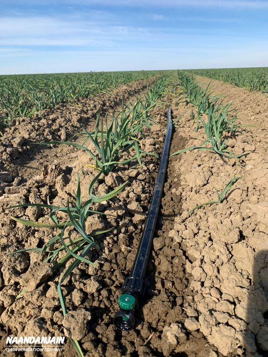 Banda picurare porumb E-Tape / NDJ 20cm / 30cm Q22 8mil