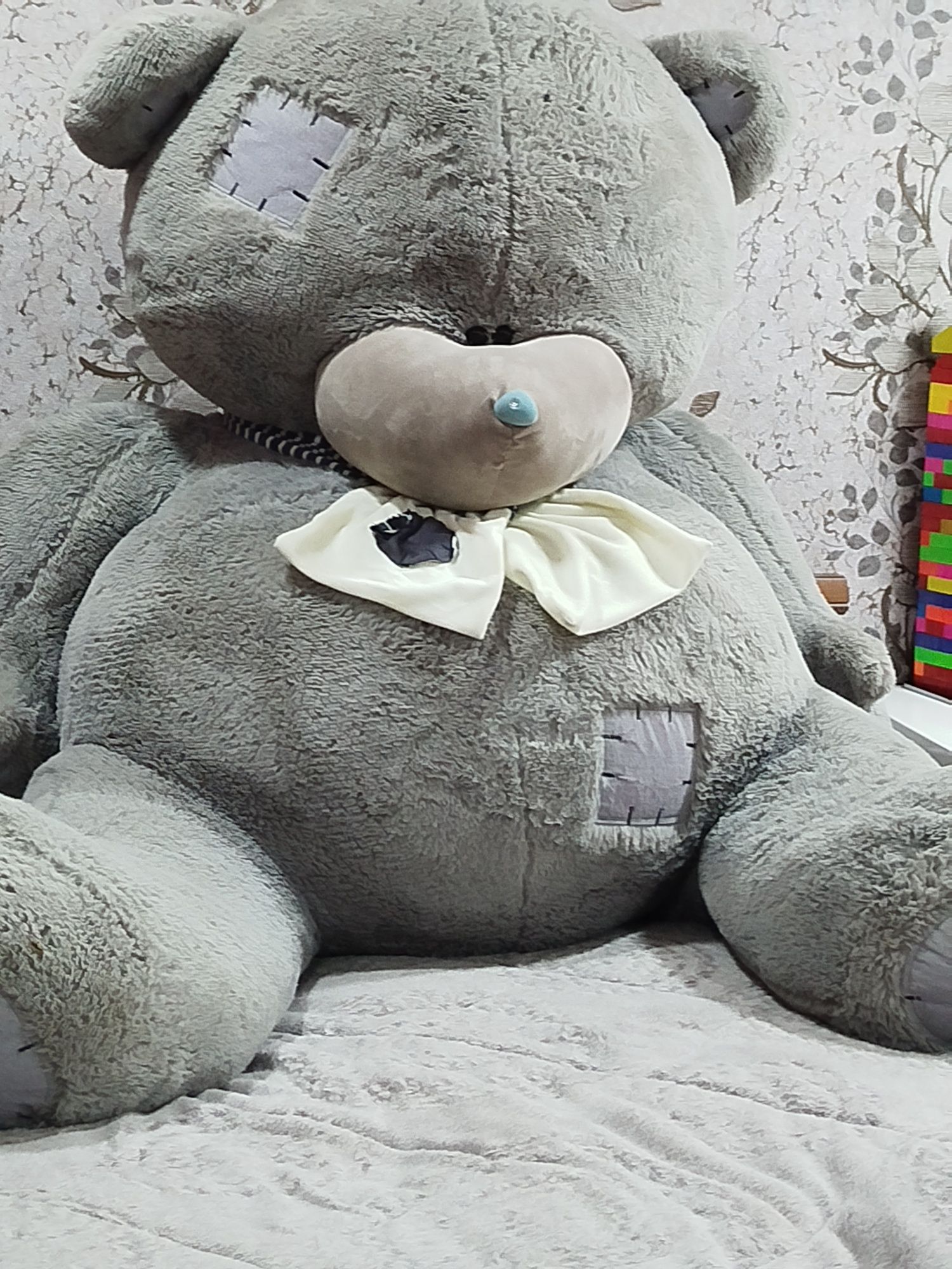 Kotta teddy ayiq