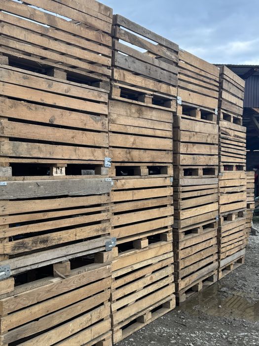 Lazi pentru depozitat cartofi