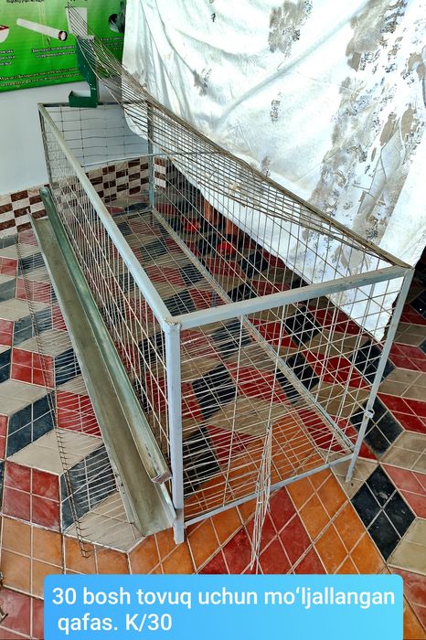 Товукларни саноат усулида бокиш учун кафаслар (катаклар)