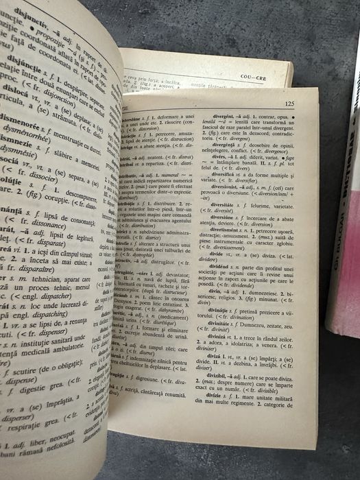 Dictionar sinonime neologisme explicativ