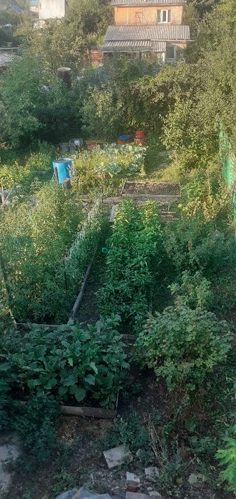 Продам дом  3 комнаты