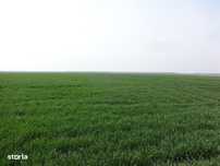 Terenuri arabile și ferme agro și zootehnice în România