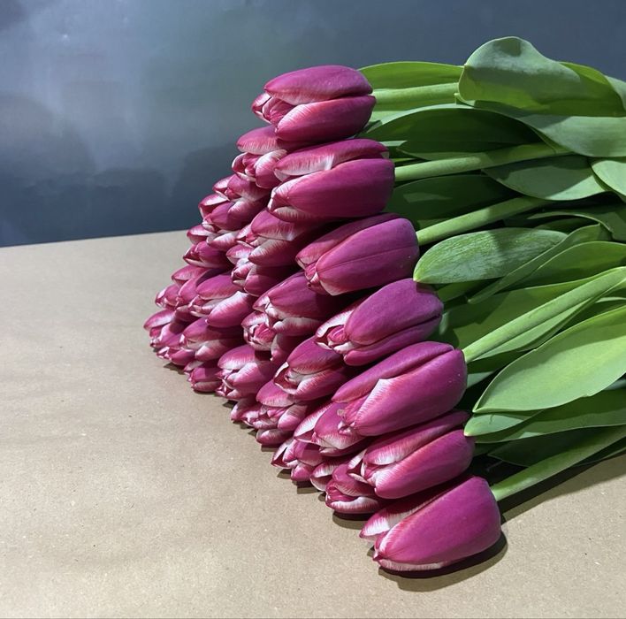 Предзаказ на тюльпаны