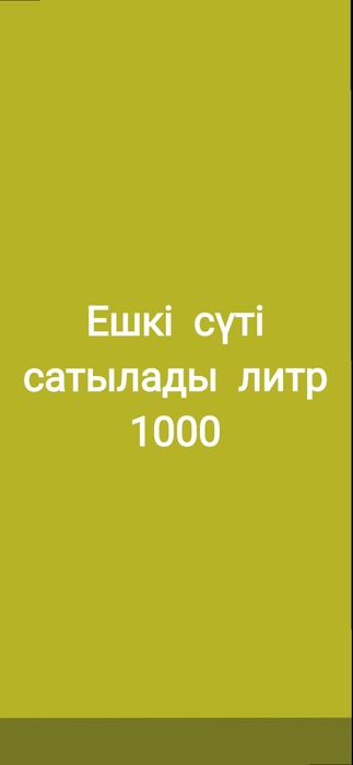 Ешкі сүті сатылады