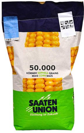 Seminte de porumb Saaten Union Spartan, FAO 320, 25.000 boabe