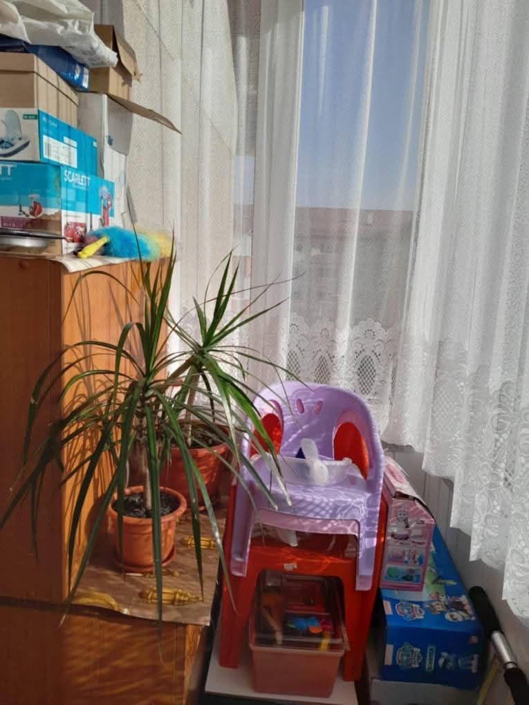Apartament 2 camere, Noua, strada Prunului