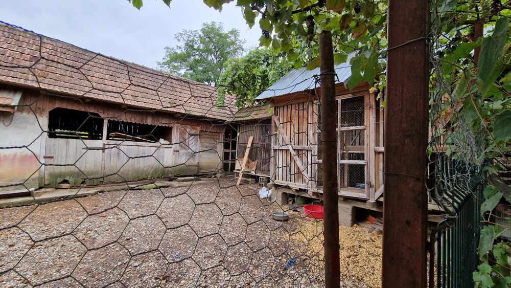 Dau în chirie casa în Valea Larga, 1000 m.p curte si gradina