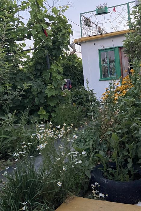 Дача медзавод Здравница