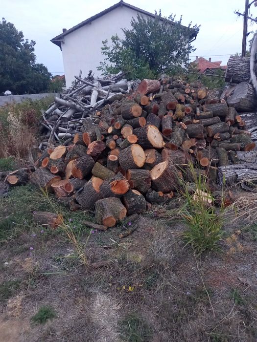 Продавам Дърва за огрев