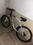 Bicicleta Roti pe 19