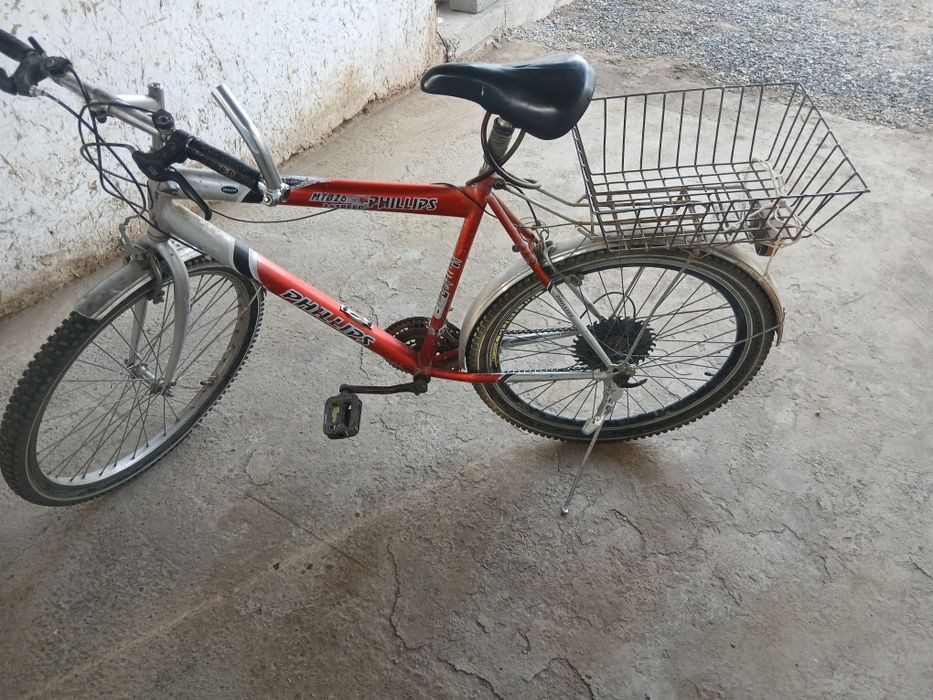 Velosaped 26 pehllips