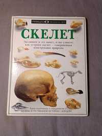 Книга о скелетах