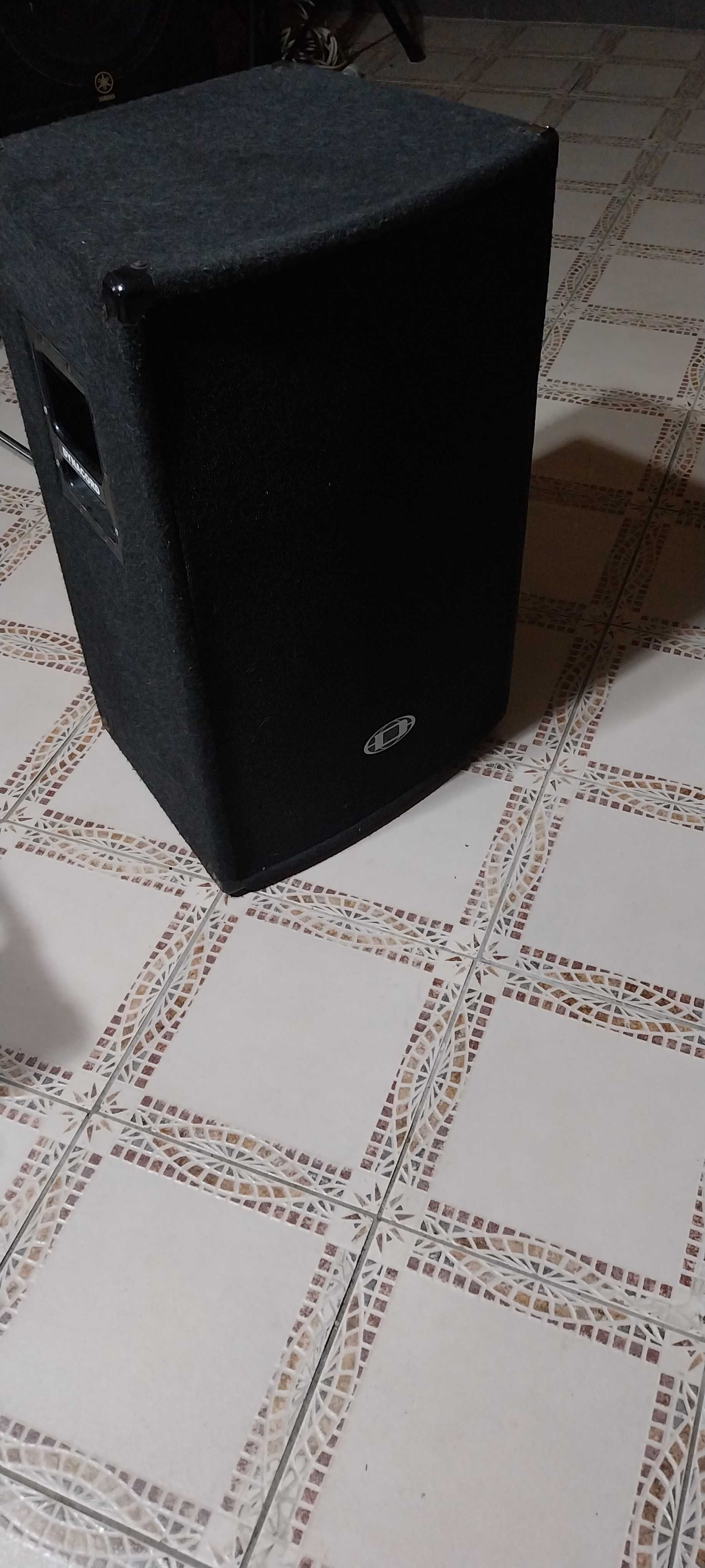 Boxa  si  Subwoofer pasiv  600 w