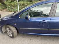 Peugeot 307 1,6 benzina