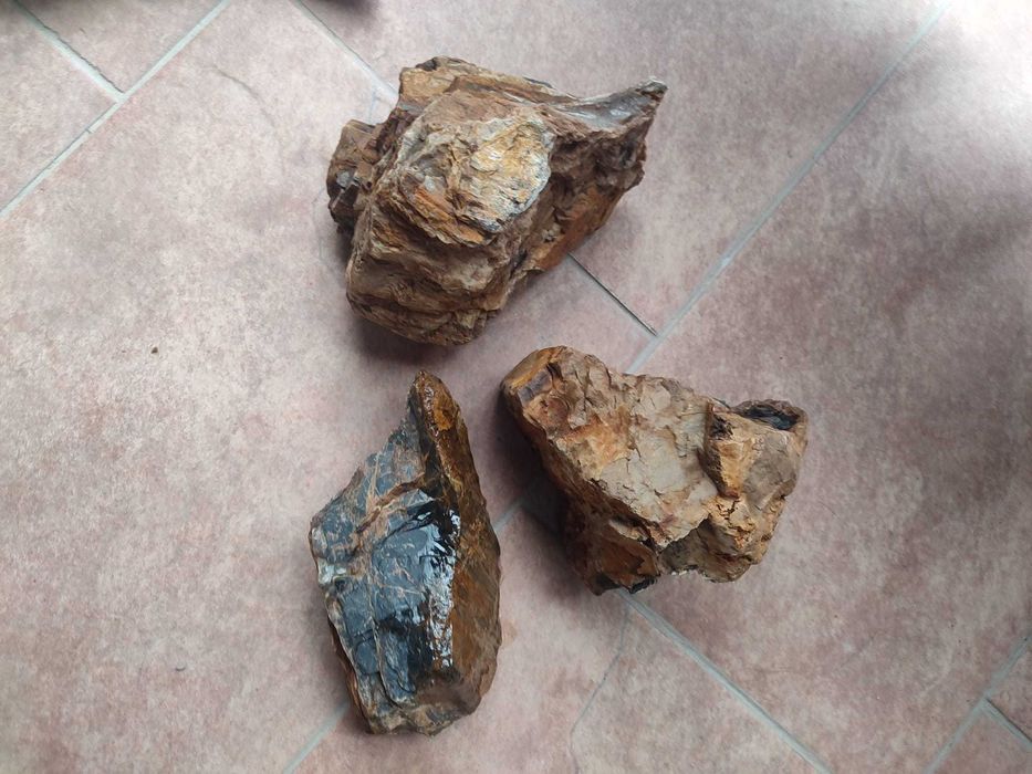 Vand radacini si pietre pentru acvariu - calitatea I. gata fierte