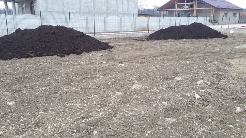 Pământ gazon gradina florii pomii mranita