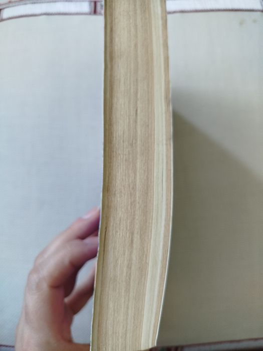 Стрелците в Мексико, Именити разузнавачи