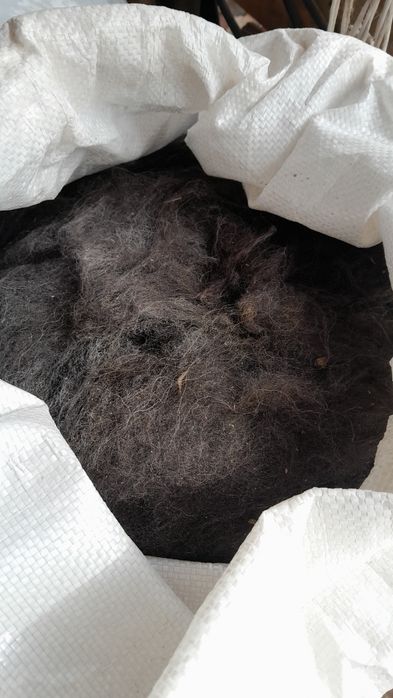 Продам баранью шерсть