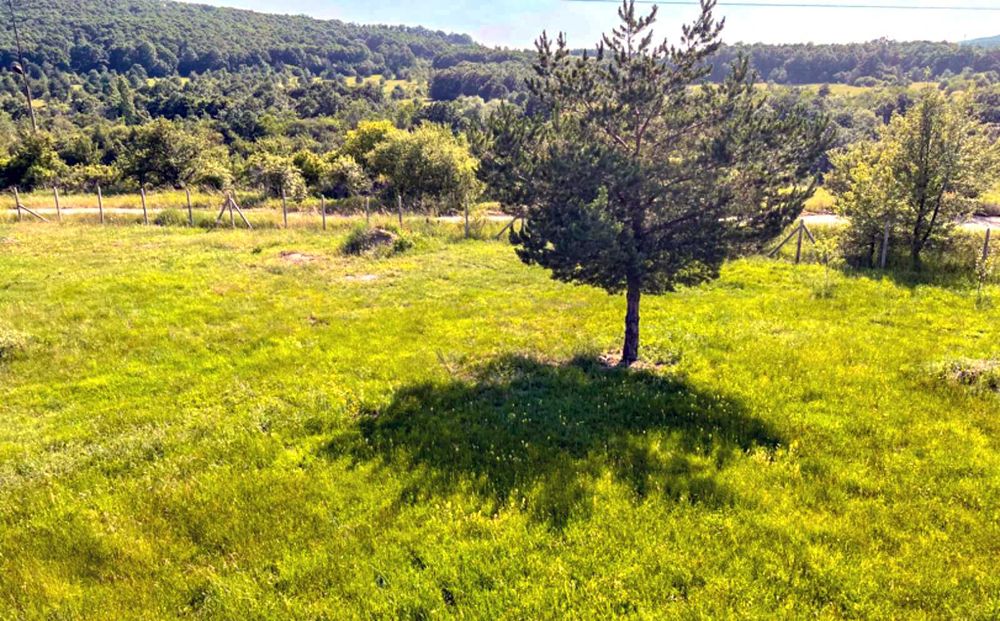 Продава парцел с. Крушовица,общ Елин пелин